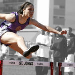 Sporting Performance and Food: The Athlete’s Diet