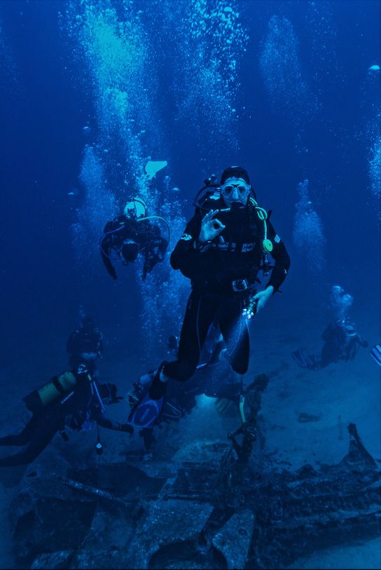 What make the scuba diving holidays for beginners are the best travel idea?