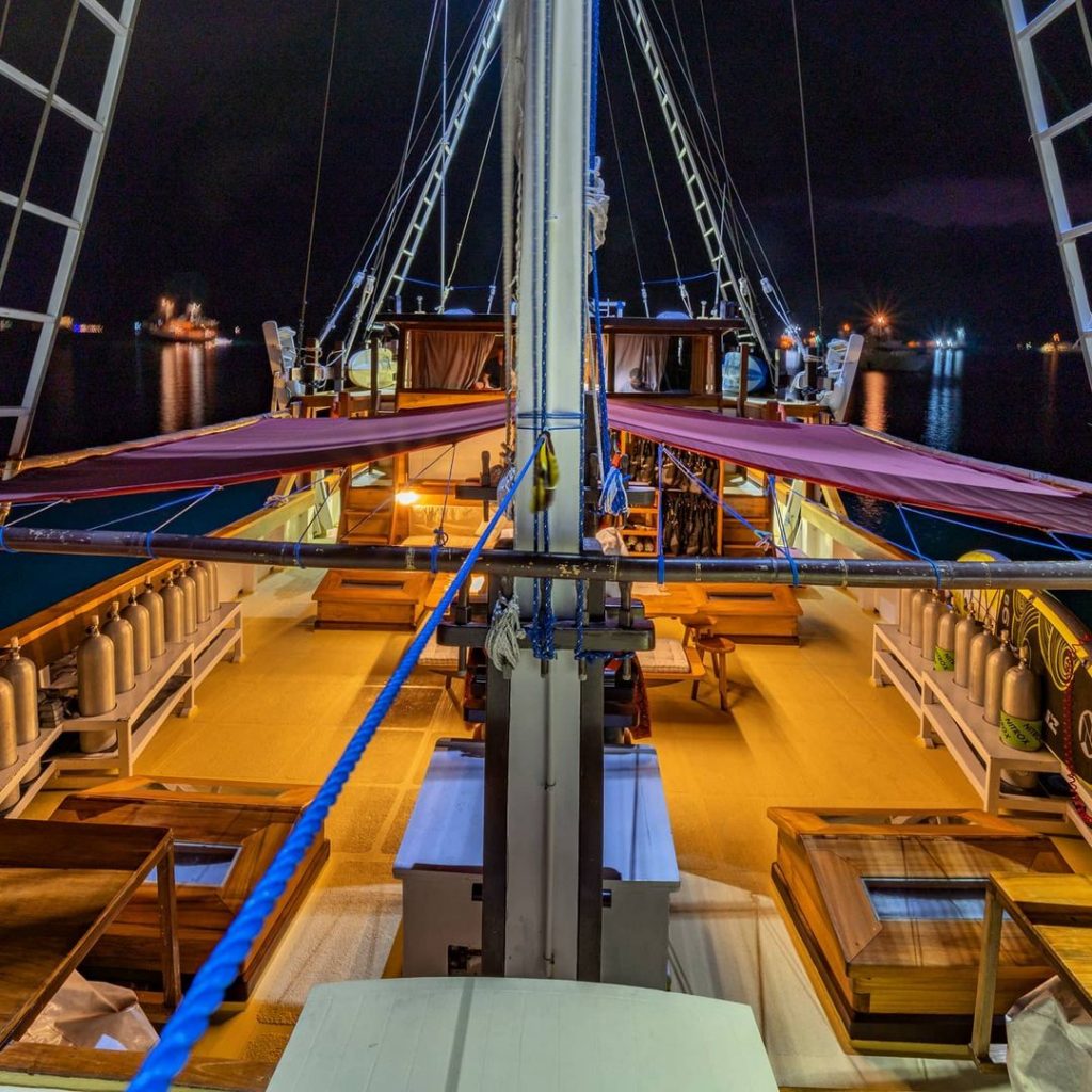 Why You’ll Want to Stay at Diving Liveaboard