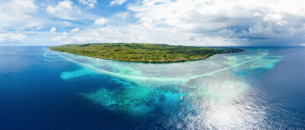 Explore Wakatobi’s best diving sites with Liveaboard Indonesia