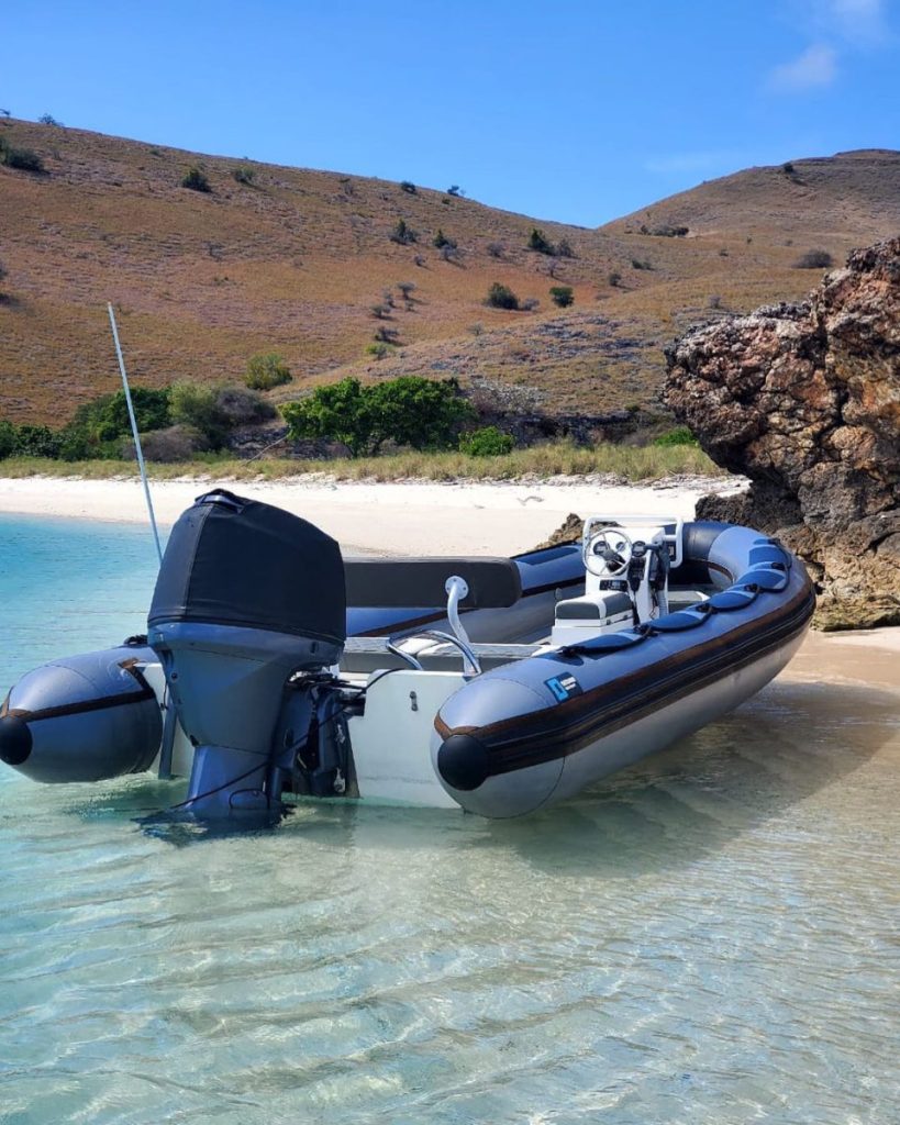 Should you buy an electric boat to have memorable adventure?